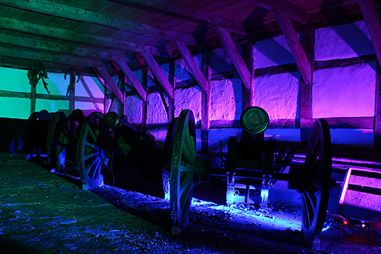 Lichtspiele Schloss Hohenlimburg, Jan. 2014 Lichtspiele Schloss Hohenlimburg, Jan. 2014