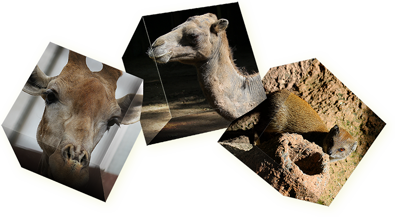 Besuch im Dortmunder Zoo Besuch im Dortmunder Zoo
