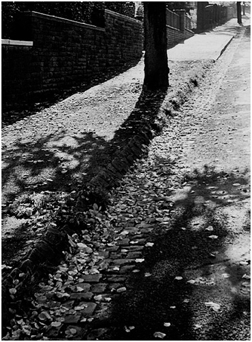 Christian-Rohlfs-Straße, Hagen (Okt. 1954) Christian-Rohlfs-Straße, Hagen (Okt. 1954)