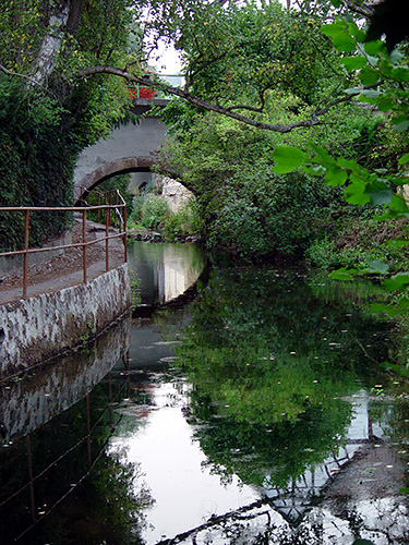 Spiegelung im Gaulsbach, Monzingen (Aug. 2003)