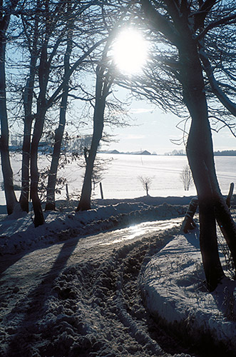 Breckerfeld, Wintersonne im Gegenlicht (Dez. 1980)